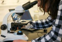 Cum scoatem liceul din „Epoca de Piatră”? Coaliția pentru Educație semnalează lipsa experimentelor obligatorii din programele pentru biologie și științe