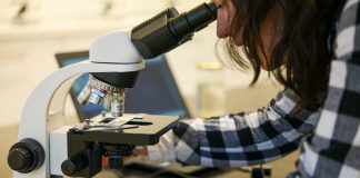 Cum scoatem liceul din „Epoca de Piatră”? Coaliția pentru Educație semnalează lipsa experimentelor obligatorii din programele pentru biologie și științe