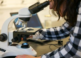 Cum scoatem liceul din „Epoca de Piatră”? Coaliția pentru Educație semnalează lipsa experimentelor obligatorii din programele pentru biologie și științe