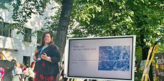 Profesoara Anca Nedelcu: Învățarea se construiește cu fermitate și căldură. Profesorul nu este prietenul elevului, dar se comportă prietenos, îl susține și îl dezvoltă