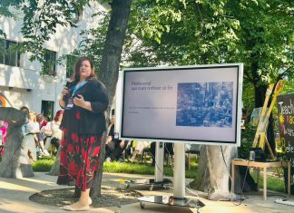 Profesoara Anca Nedelcu: Învățarea se construiește cu fermitate și căldură. Profesorul nu este prietenul elevului, dar se comportă prietenos, îl susține și îl dezvoltă