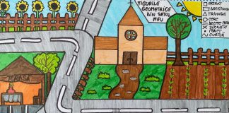 Concursul „Rural Math” 2026: o competiție în care elevii de gimnaziu au împletit matematica cu desenul – „Figurile geometrice din satul meu”